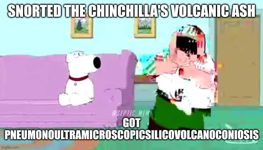 Peter tries rice cakes glitched Imgflip