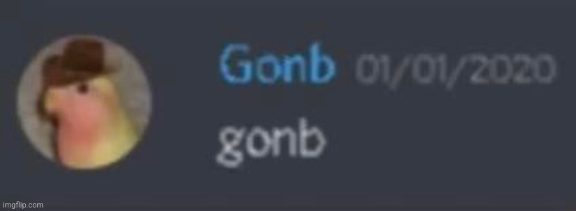 Gonb | image tagged in gonb pfp | made w/ Imgflip meme maker
