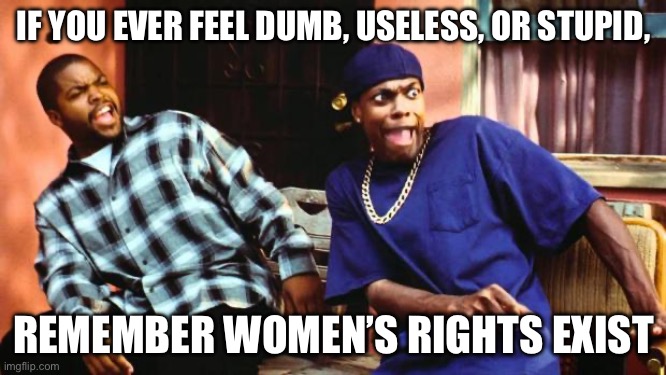 Womens Rights | IF YOU EVER FEEL DUMB, USELESS, OR STUPID, REMEMBER WOMEN’S RIGHTS EXIST | image tagged in ice cube damn | made w/ Imgflip meme maker