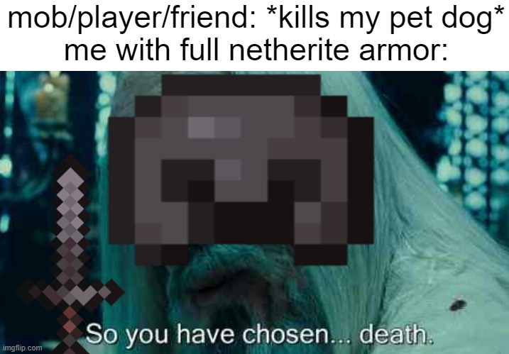 chosen death i see? | mob/player/friend: *kills my pet dog*
me with full netherite armor: | image tagged in so you have chosen death | made w/ Imgflip meme maker