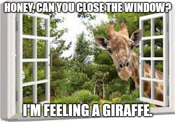 meme by Brad I feel a giraffe | HONEY, CAN YOU CLOSE THE WINDOW? I'M FEELING A GIRAFFE. | image tagged in animal | made w/ Imgflip meme maker