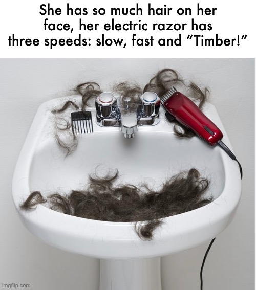 hair today, gone tomorrow | She has so much hair on her face, her electric razor has three speeds: slow, fast and “Timber!” | image tagged in funny,meme,hair,razor,timber | made w/ Imgflip meme maker