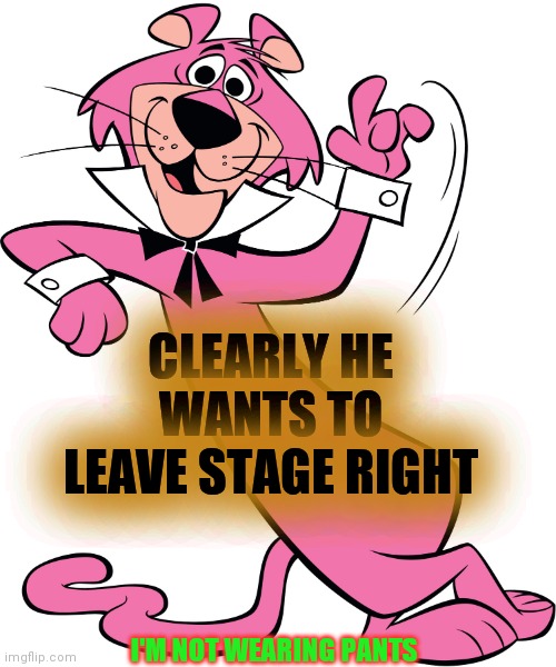 Snagglepuss | CLEARLY HE WANTS TO LEAVE STAGE RIGHT I'M NOT WEARING PANTS | image tagged in snagglepuss | made w/ Imgflip meme maker