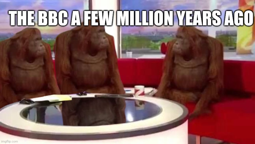 where monkey | THE BBC A FEW MILLION YEARS AGO | image tagged in where monkey | made w/ Imgflip meme maker