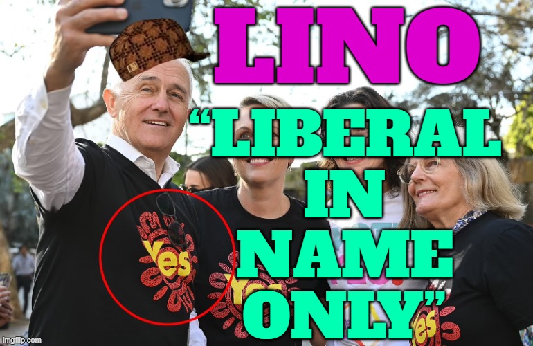 “Liberal in Name Only” | LINO; “LIBERAL
IN
NAME
ONLY” | image tagged in ex-prime minister malcolm turnbull,meanwhile in australia,australia,referendum,australians,stupid liberals | made w/ Imgflip meme maker