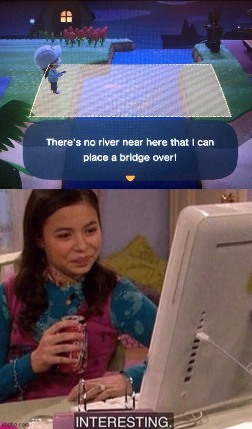 Stupidity | image tagged in icarly interesting,memes,funny,animal crossing | made w/ Imgflip meme maker