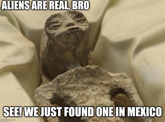 Mexican alien | ALIENS ARE REAL, BRO; SEE! WE JUST FOUND ONE IN MEXICO | image tagged in mexican alien | made w/ Imgflip meme maker