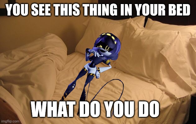 got the idea from janitor ai | YOU SEE THIS THING IN YOUR BED; WHAT DO YOU DO | image tagged in bed,v,serial designation v | made w/ Imgflip meme maker