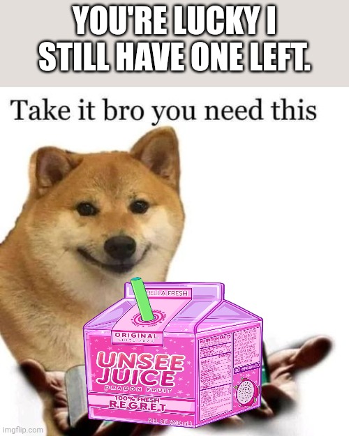 Take it bro you need this | YOU'RE LUCKY I STILL HAVE ONE LEFT. | image tagged in take it bro you need this | made w/ Imgflip meme maker