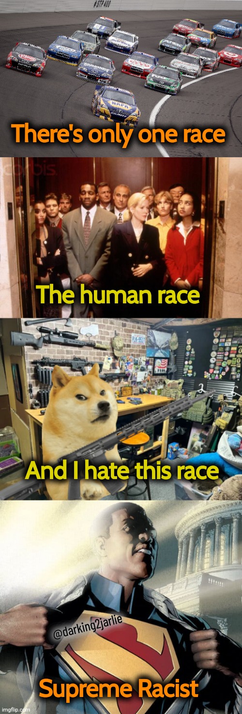 That S symbol stands for Hope (of more racism) | There's only one race; The human race; And I hate this race; @darking2jarlie; Supreme Racist | image tagged in doge rifle,racist,humanity,racism,humans,dark humor | made w/ Imgflip meme maker