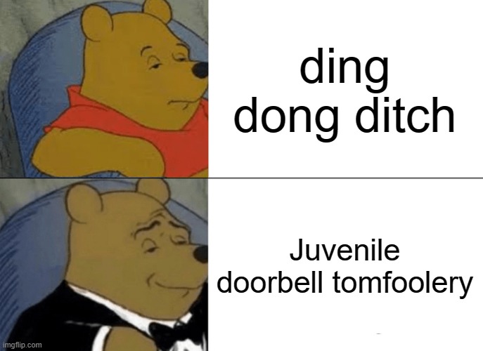 Ding dong ditch | ding dong ditch; Juvenile doorbell tomfoolery | image tagged in memes,tuxedo winnie the pooh,funny memes | made w/ Imgflip meme maker