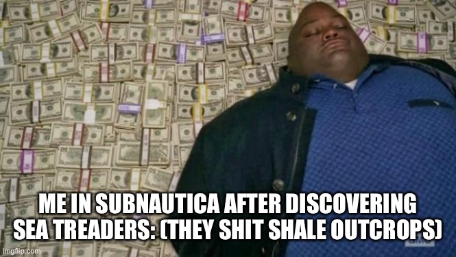 huell money | ME IN SUBNAUTICA AFTER DISCOVERING SEA TREADERS: (THEY SHIT SHALE OUTCROPS) | image tagged in huell money | made w/ Imgflip meme maker