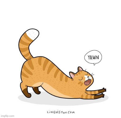 A Cat's Way Of Thinking | image tagged in memes,comics/cartoons,cats,big,stretch,yawn | made w/ Imgflip meme maker