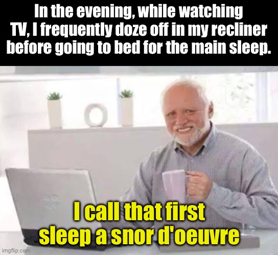 Snore | In the evening, while watching TV, I frequently doze off in my recliner before going to bed for the main sleep. I call that first sleep a snor d'oeuvre | image tagged in harold | made w/ Imgflip meme maker