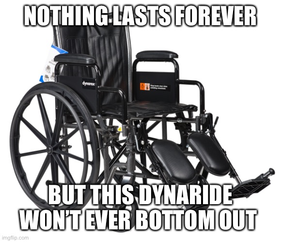 NOTHING LASTS FOREVER BUT THIS DYNARIDE WON’T EVER BOTTOM OUT | made w/ Imgflip meme maker