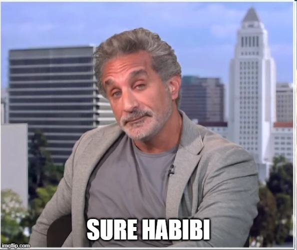Sure Habibi | SURE HABIBI | image tagged in attitude habibi | made w/ Imgflip meme maker