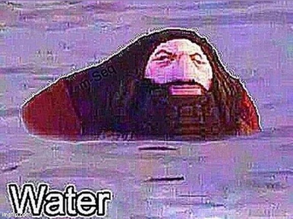 W A T E R | image tagged in water,broken humor,shitpost | made w/ Imgflip meme maker