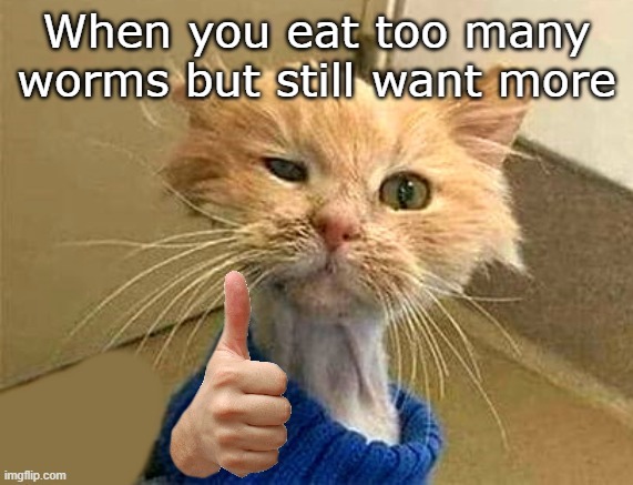 thumb cat | When you eat too many worms but still want more | image tagged in thumb cat | made w/ Imgflip meme maker