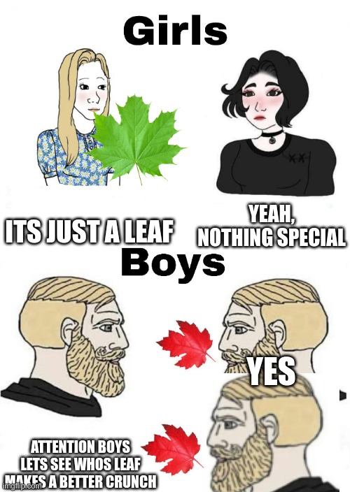 YES | ITS JUST A LEAF; YEAH, NOTHING SPECIAL; YES; ATTENTION BOYS LETS SEE WHOS LEAF MAKES A BETTER CRUNCH | image tagged in girls vs boys | made w/ Imgflip meme maker