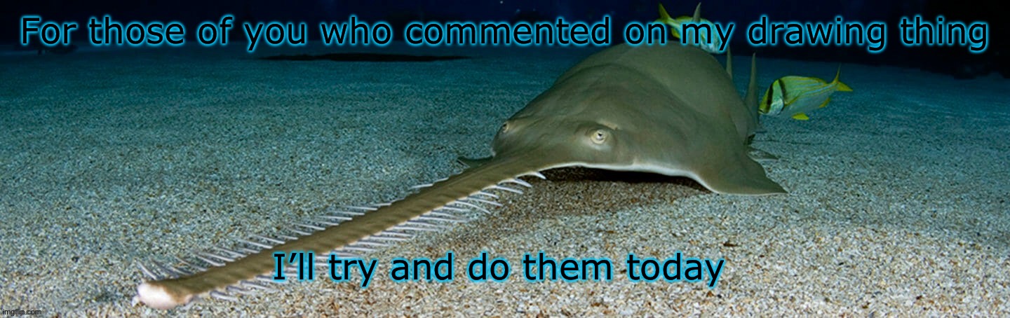 Cool sawfish | For those of you who commented on my drawing thing; I’ll try and do them today | image tagged in cool sawfish | made w/ Imgflip meme maker