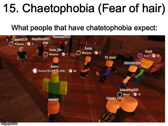 everyone gets bald episode 1 | 15. Chaetophobia (Fear of hair); What people that have chatetophobia expect: | image tagged in blank white template | made w/ Imgflip meme maker