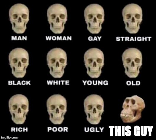 idiot skull | THIS GUY | image tagged in idiot skull | made w/ Imgflip meme maker