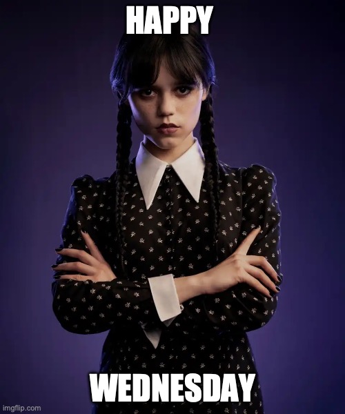 Happy Wednesday | HAPPY; WEDNESDAY | image tagged in wednesday addams | made w/ Imgflip meme maker