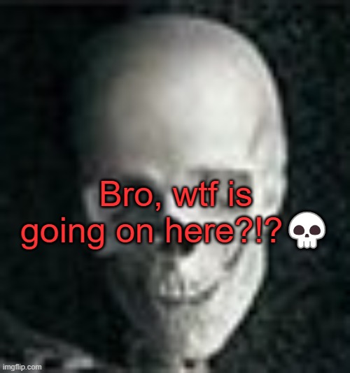 . | Bro, wtf is going on here?!?💀 | image tagged in skull | made w/ Imgflip meme maker