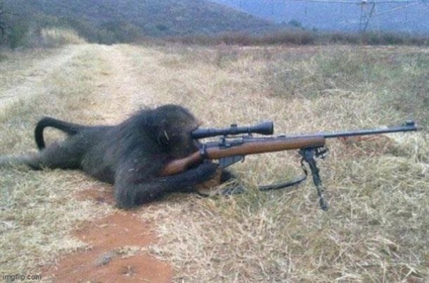 Sniper monkey | image tagged in sniper monkey | made w/ Imgflip meme maker