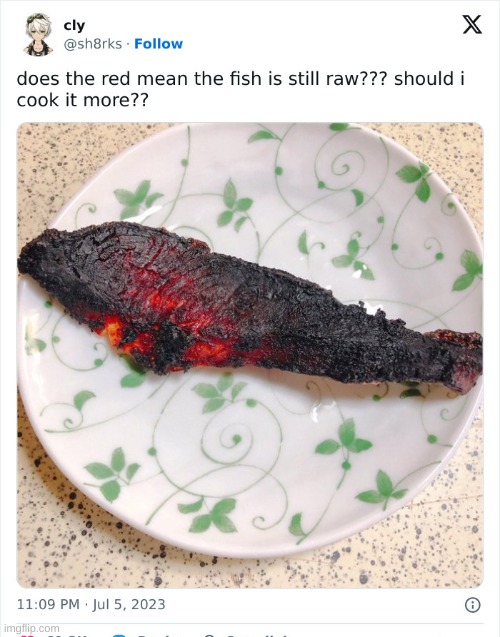 This person cooked their fish in a damn volcano | made w/ Imgflip meme maker