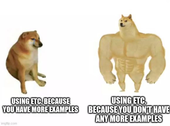 honestly, it works so well | USING ETC. BECAUSE YOU DON'T HAVE ANY MORE EXAMPLES; USING ETC. BECAUSE YOU HAVE MORE EXAMPLES | image tagged in school,homework | made w/ Imgflip meme maker