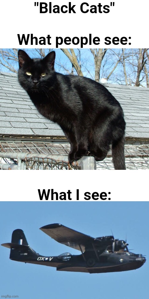 Cat | "Black Cats"; What people see:; What I see: | image tagged in memes,blank transparent square,funny,black cat,aircraft | made w/ Imgflip meme maker