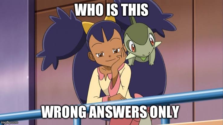 Iris Pokemon | WHO IS THIS; WRONG ANSWERS ONLY | image tagged in iris pokemon | made w/ Imgflip meme maker