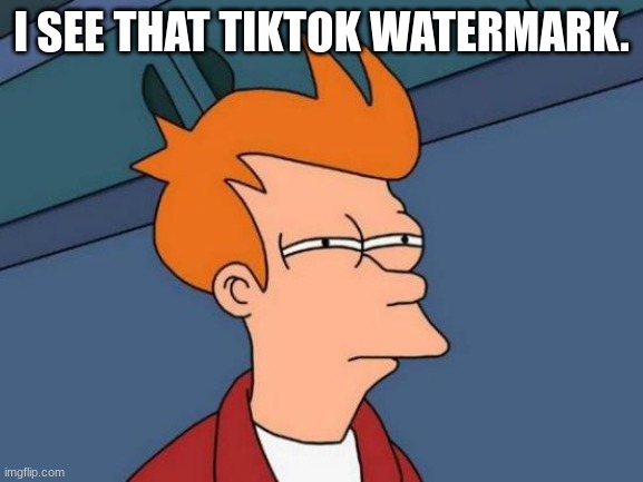 Futurama Fry Meme | I SEE THAT TIKTOK WATERMARK. | image tagged in memes,futurama fry | made w/ Imgflip meme maker