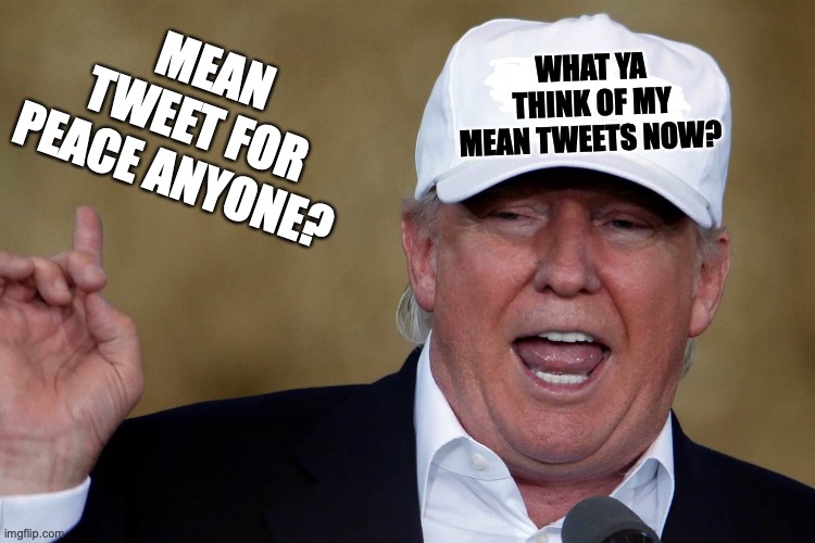wish we had a mean tweet | MEAN TWEET FOR PEACE ANYONE? WHAT YA THINK OF MY MEAN TWEETS NOW? | image tagged in donald trump blank maga hat | made w/ Imgflip meme maker