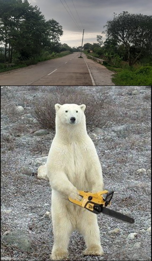 Road | image tagged in chainsaw polar bear,road,you had one job,memes,roads,pole | made w/ Imgflip meme maker