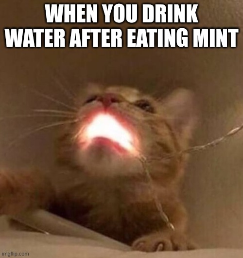 Drinking water after eating mint | WHEN YOU DRINK WATER AFTER EATING MINT | image tagged in drinking water after eating mint | made w/ Imgflip meme maker