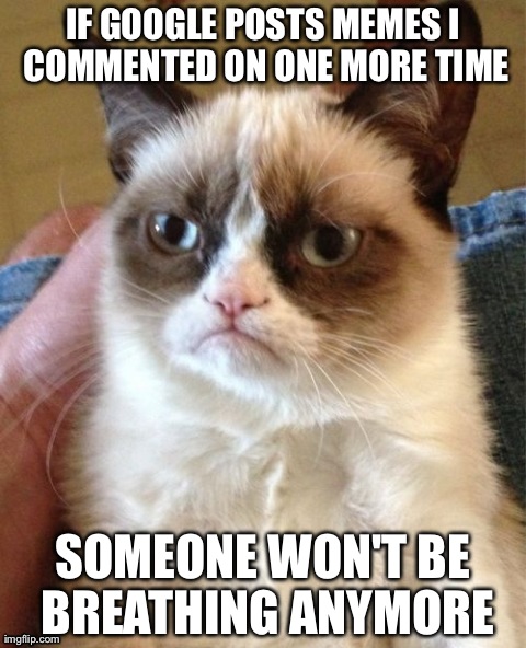 Grumpy Cat | IF GOOGLE POSTS MEMES I COMMENTED ON ONE MORE TIME SOMEONE WON'T BE BREATHING ANYMORE | image tagged in memes,grumpy cat | made w/ Imgflip meme maker