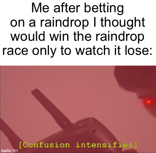 Why though lol | Me after betting on a raindrop I thought would win the raindrop race only to watch it lose: | image tagged in confusion intensifies | made w/ Imgflip meme maker