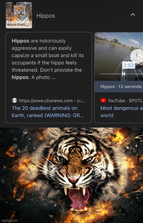 "Hippos" | image tagged in roaring tiger abstract,tiger,hippos,hippo,you had one job,memes | made w/ Imgflip meme maker