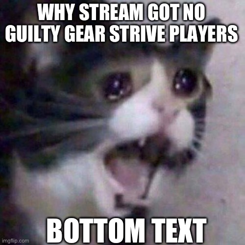Sadge | WHY STREAM GOT NO GUILTY GEAR STRIVE PLAYERS; BOTTOM TEXT | image tagged in crying cat | made w/ Imgflip meme maker