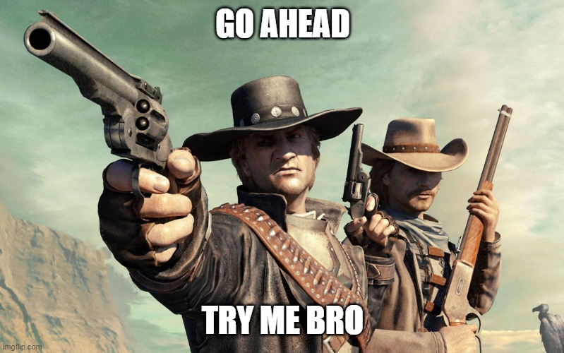 Wild West Guns | GO AHEAD TRY ME BRO | image tagged in wild west guns | made w/ Imgflip meme maker