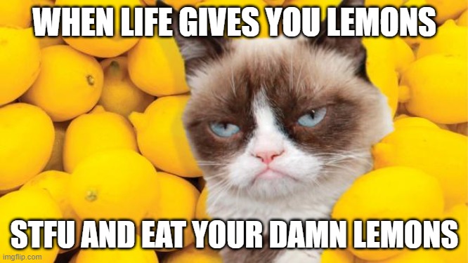 Grumpy Cat lemons | WHEN LIFE GIVES YOU LEMONS; STFU AND EAT YOUR DAMN LEMONS | image tagged in grumpy cat lemons | made w/ Imgflip meme maker