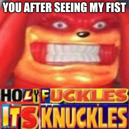 I'm so badass | YOU AFTER SEEING MY FIST | image tagged in holy fuckles it s knuckles | made w/ Imgflip meme maker