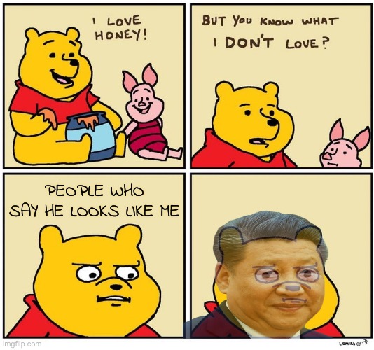 Xi doesn’t approve either | PEOPLE WHO SAY HE LOOKS LIKE ME | image tagged in winnie the pooh dont like | made w/ Imgflip meme maker
