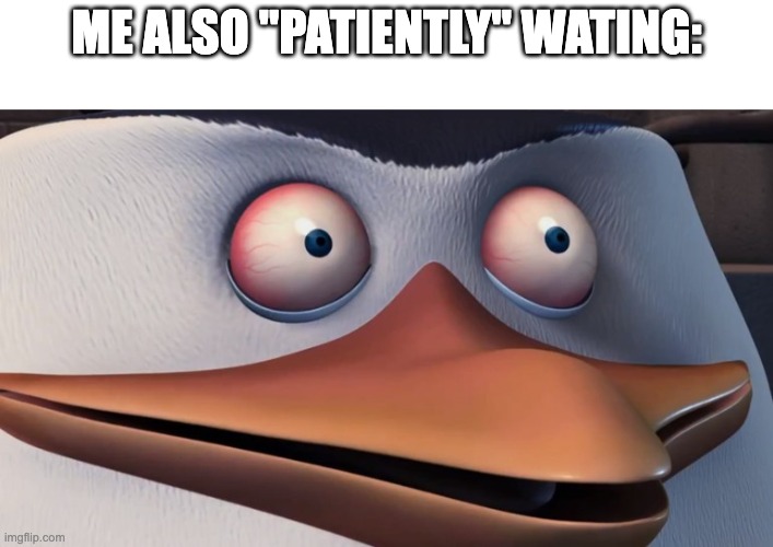 Penguins of madagascar skipper red eyes | ME ALSO "PATIENTLY" WATING: | image tagged in penguins of madagascar skipper red eyes | made w/ Imgflip meme maker