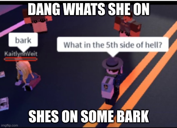 DANG WHATS SHE ON; SHES ON SOME BARK | made w/ Imgflip meme maker