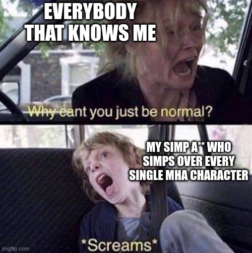 Why Can't You Just Be Normal | EVERYBODY THAT KNOWS ME; MY SIMP A** WHO SIMPS OVER EVERY SINGLE MHA CHARACTER | image tagged in why can't you just be normal | made w/ Imgflip meme maker