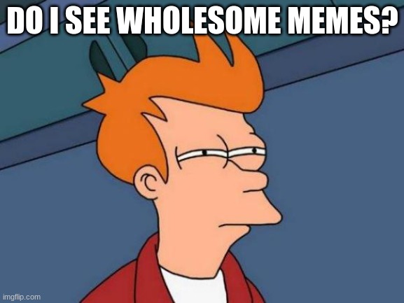 Futurama Fry | DO I SEE WHOLESOME MEMES? | image tagged in memes,futurama fry | made w/ Imgflip meme maker