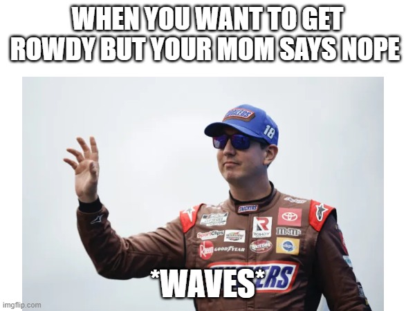 WHEN YOU WANT TO GET ROWDY BUT YOUR MOM SAYS NOPE; *WAVES* | made w/ Imgflip meme maker